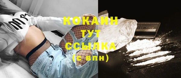 прущий лед Богородицк