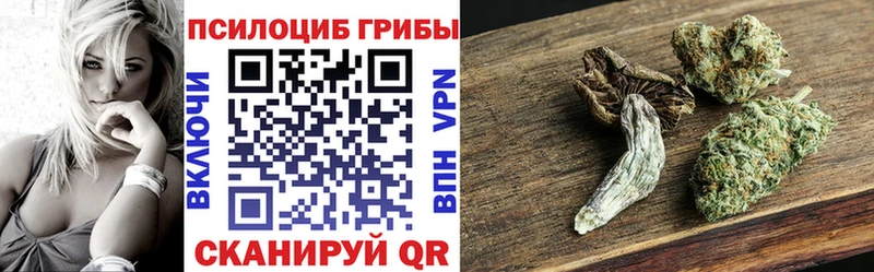 Галлюциногенные грибы мицелий  Дорогобуж 
