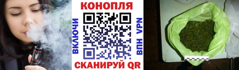 Шишки марихуана индика  OMG как войти  Дорогобуж 